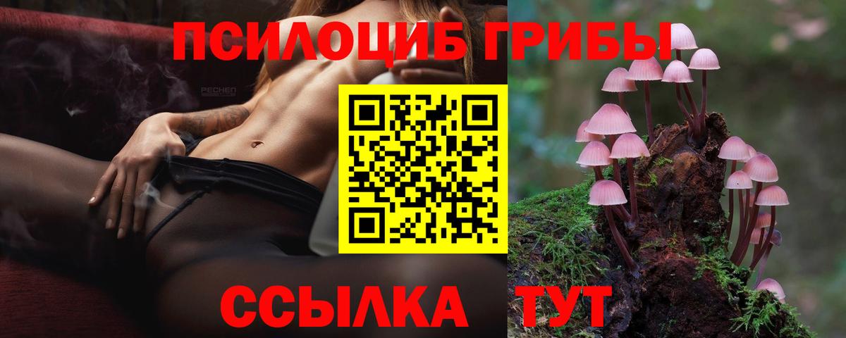 Псилоцибиновые грибы GOLDEN TEACHER Москва