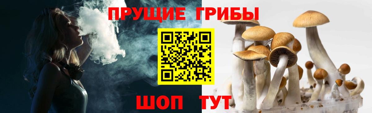 Псилоцибиновые грибы GOLDEN TEACHER  Вход с VPN  Псилоцибиновые грибы Magic Shrooms  Москва 